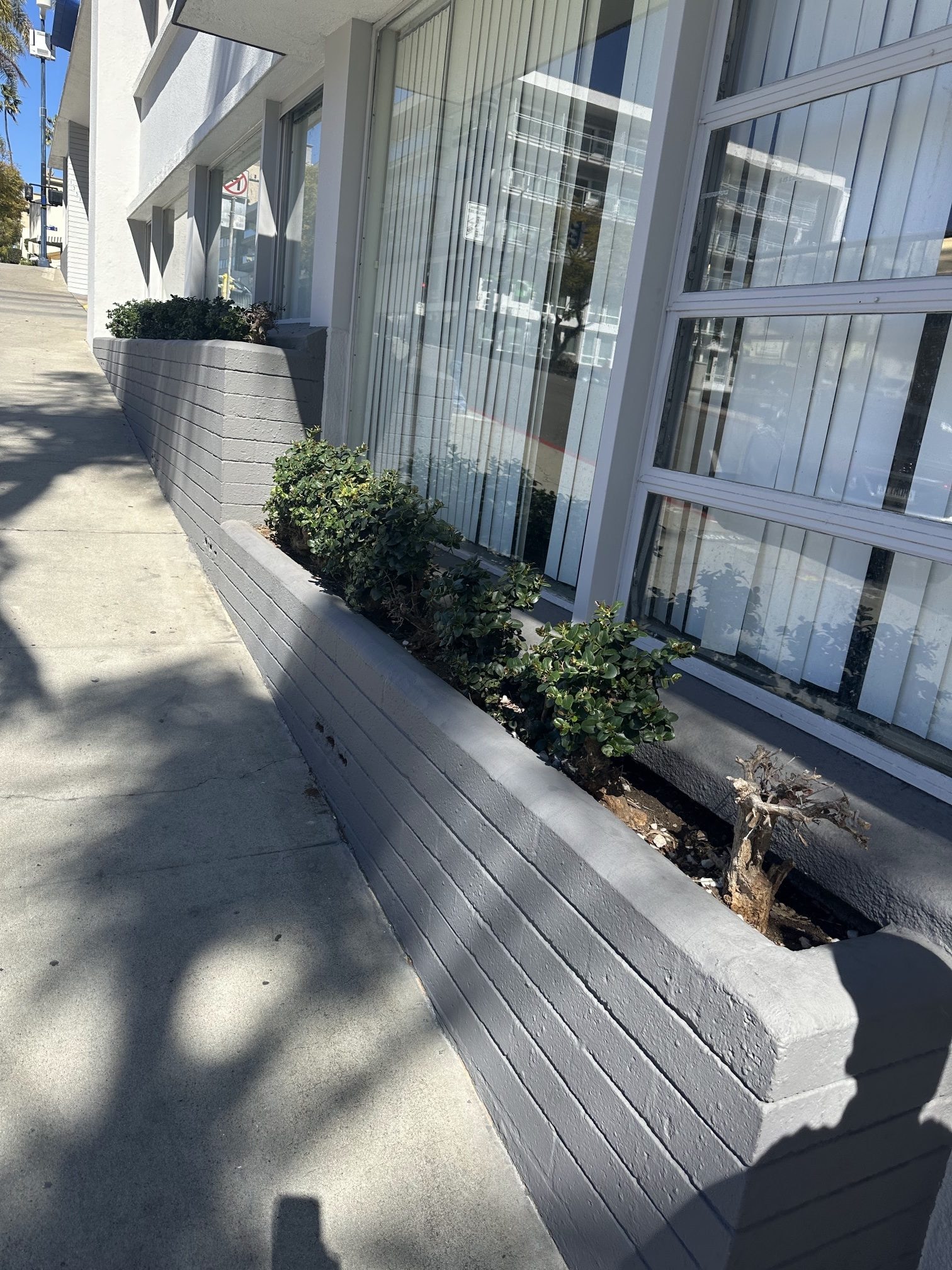 The building's street frontage with a freshly painted gray planter and large windows