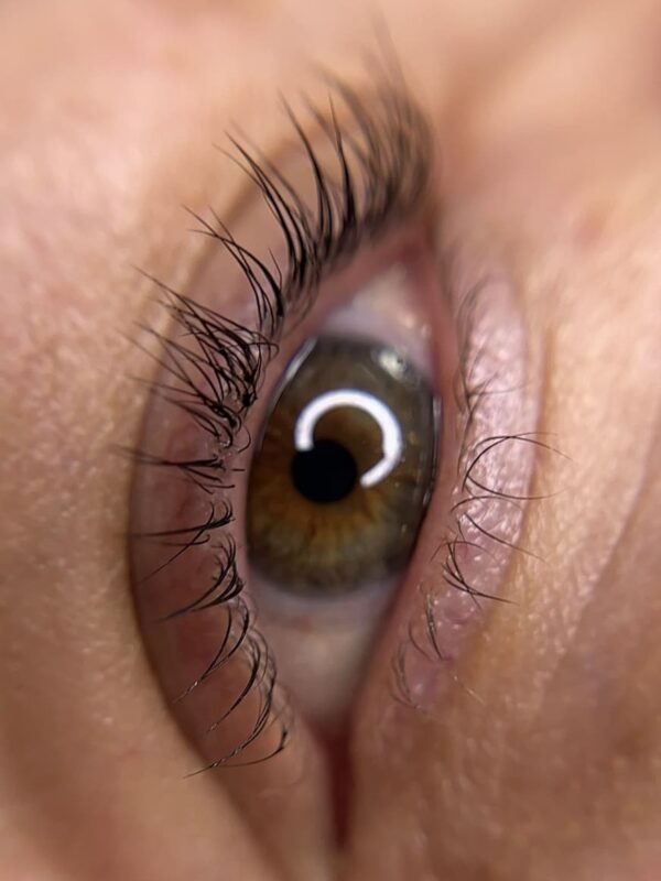 Lash tint 6