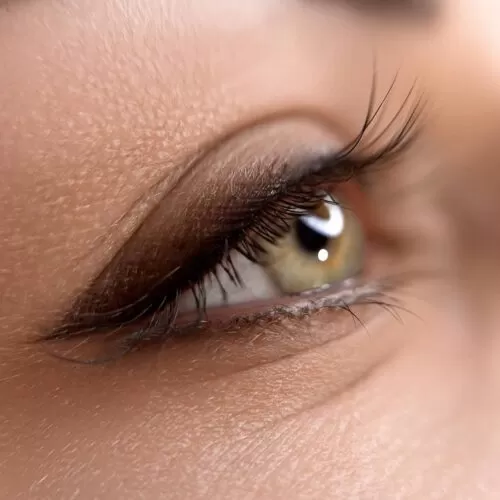 eyeshadow